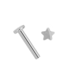 Star Titanium Helix Earring - Simply Whispers