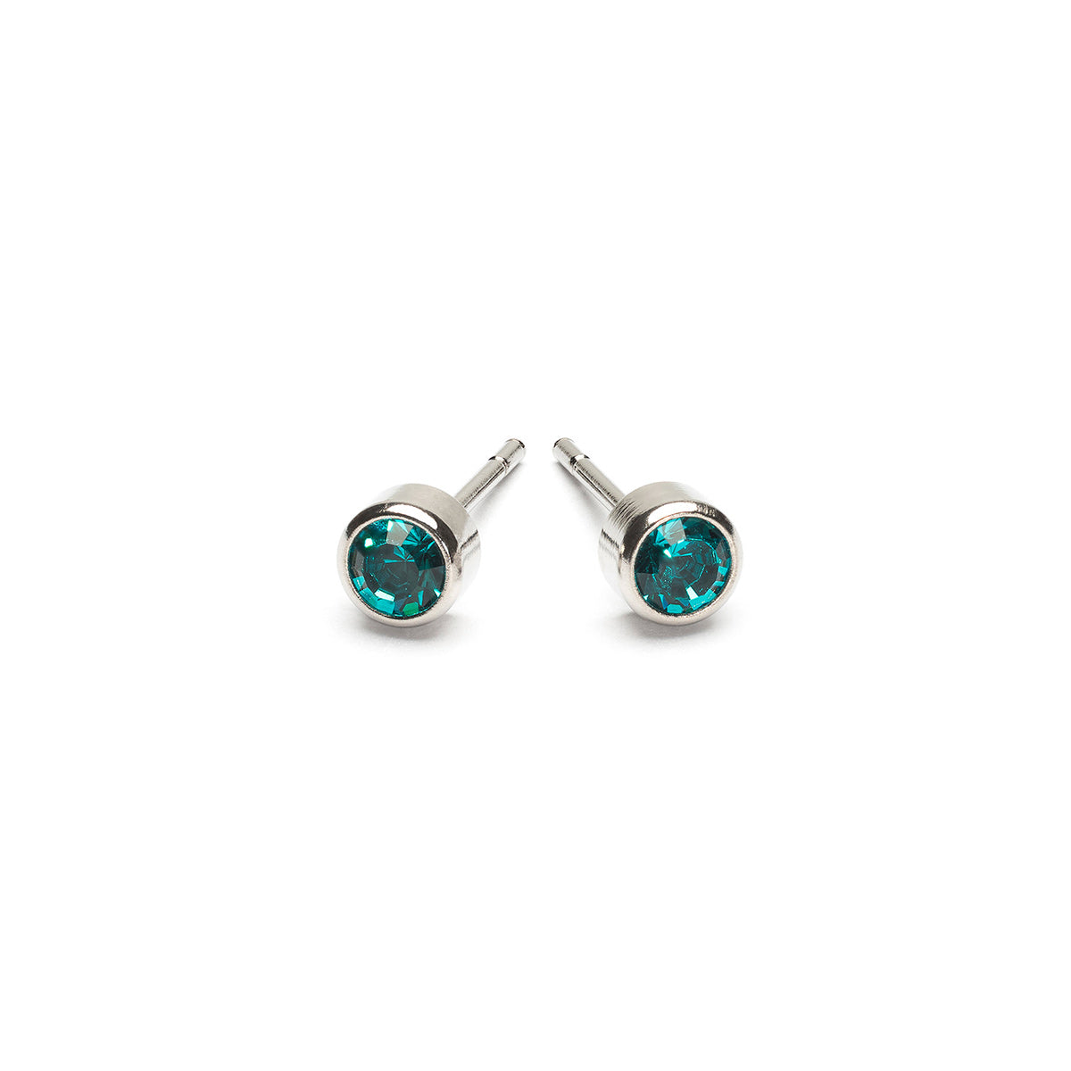 December Birthstone Stainless Steel Earrings - Simply Whispers