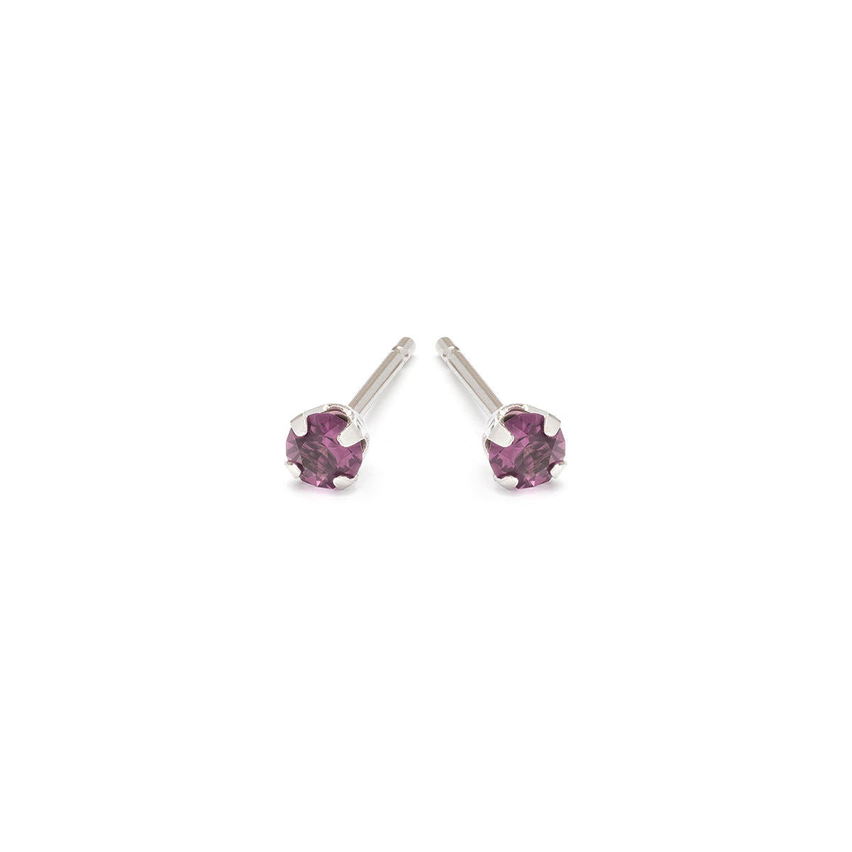 February Birthstone Stainless Steel Stud Earrings - Simply Whispers