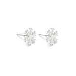 Sterling Silver Snowflake Earrings - Simply Whispers