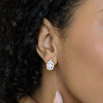 Crystal Drop Stud Earrings - Simply Whispers